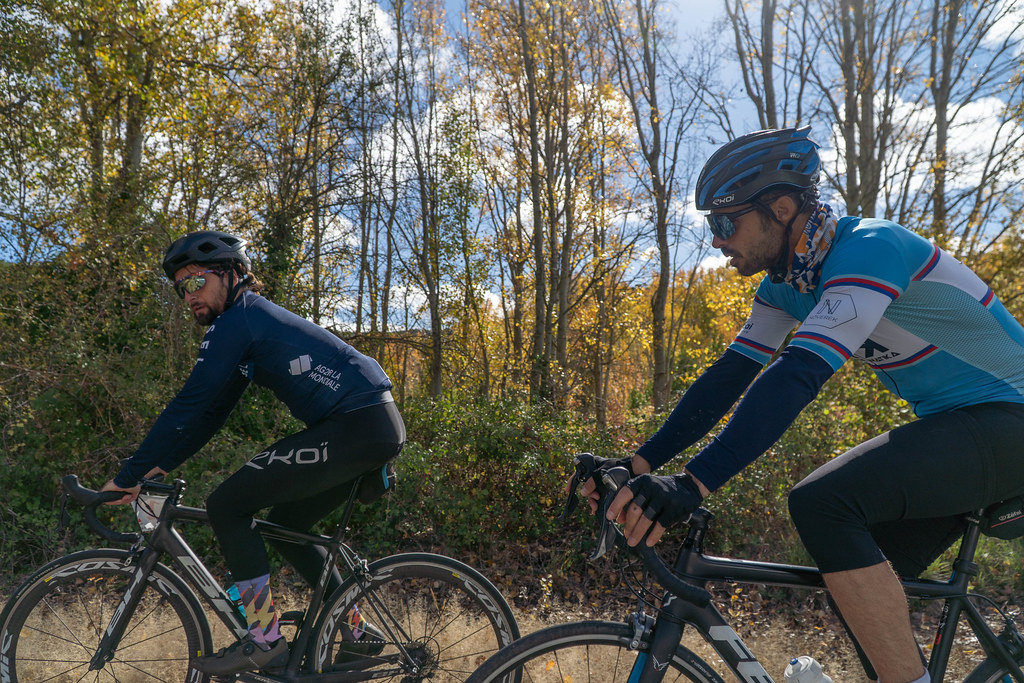 Efectos al pasar el cursor sobre la imagen